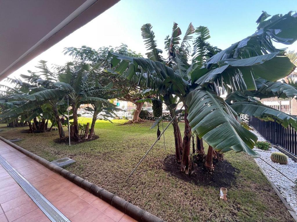 Seaview Apartment Los Cactus Playa del Inglés Exterior foto